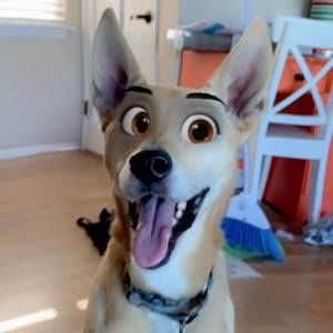 Meet your Posher, Debbie